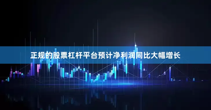 正规的股票杠杆平台预计净利润同比大幅增长
